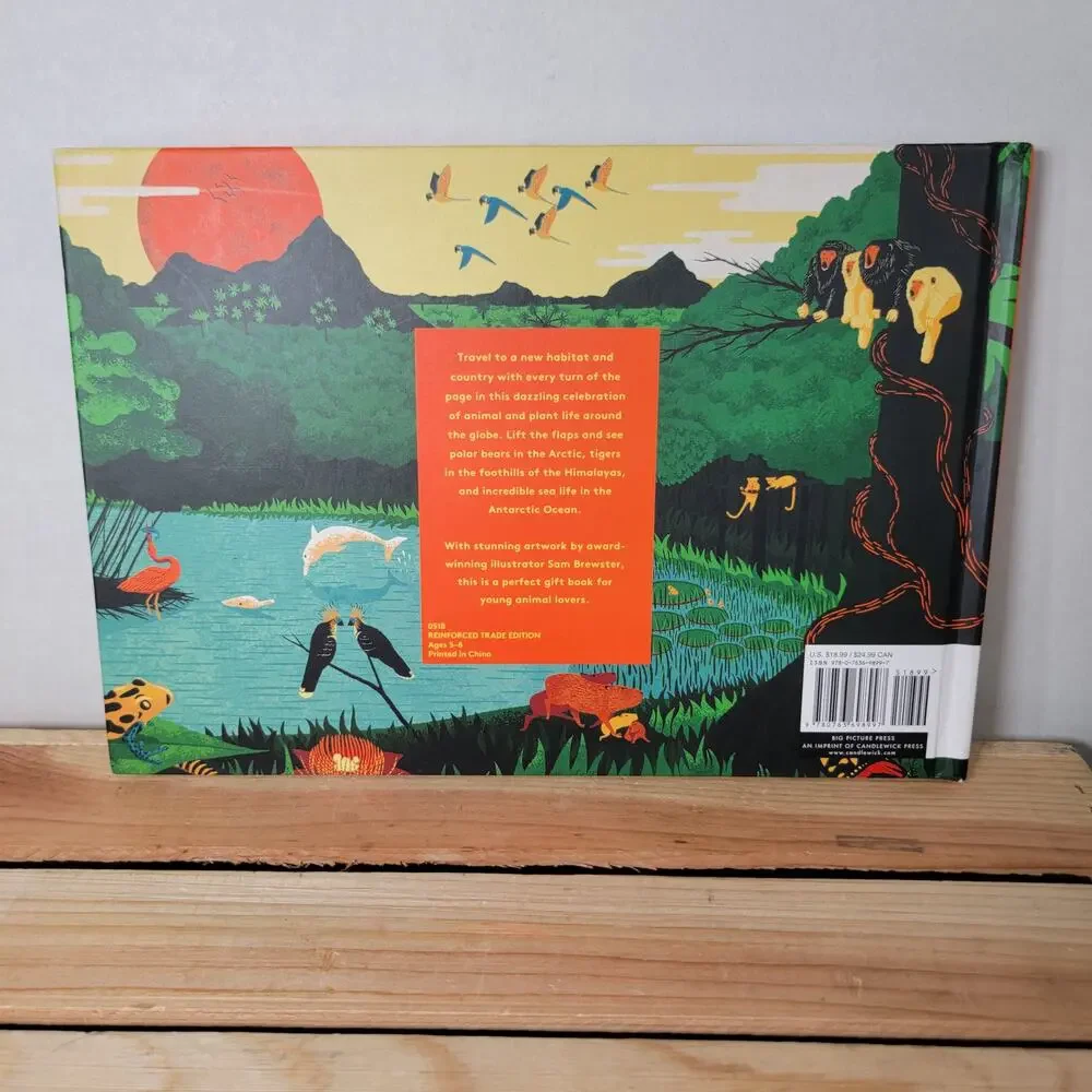BOOK Walk This Wild World (Lift The Flap) hardback by Sam Brewster - NEW
